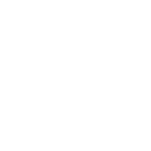 the word south point in white text on a black background